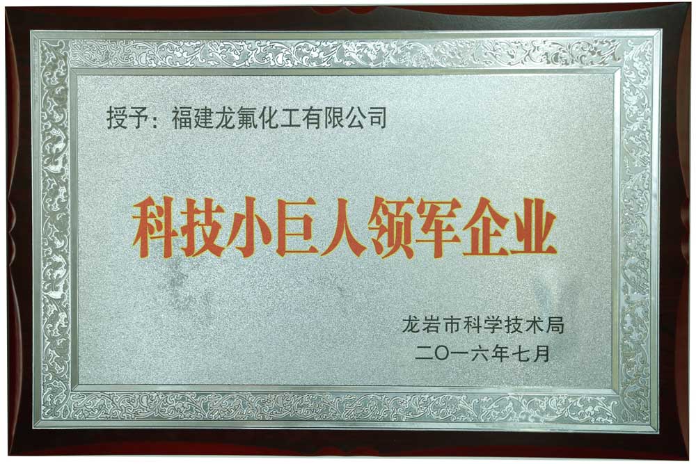 科技小巨人领军企业